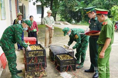 Liên tiếp ngăn chặn các vụ vận chuyển thực phẩm, gia cầm giống nhập lậu