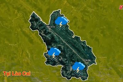 Dự báo thời tiết ngày 7/8