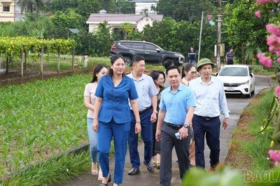 Đoàn công tác Ban Tuyên giáo và Dân vận Tỉnh ủy khảo sát các mô hình 'Dân vận khéo' tại xã Gia Phú