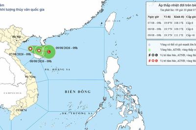 Cảnh báo áp thấp nhiệt đới trên Vịnh Bắc Bộ ngày 07/08/2026: Gió mạnh cấp 6, giật cấp 8