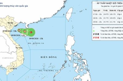 Áp thấp nhiệt đới trên Biển Đông ngày 07/08/2026: Vịnh Bắc Bộ gió giật cấp 8, biển động