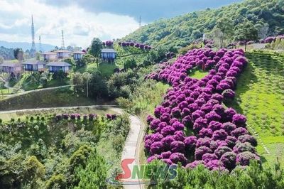 Đánh thức tiềm năng du lịch trên đèo Pha Đin
