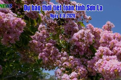 Dự báo thời tiết toàn tỉnh Sơn La ngày 8/8/2026