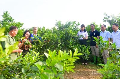 Thước đo năng lực cán bộ