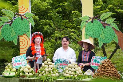 'Cây na số' kết nối nông sản, sẻ chia cùng người nghèo tại xã Võ Nhai