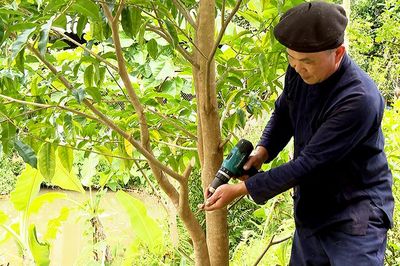 Người nông dân sáng tạo nâng tầm nông sản từ sản phẩm OCOP