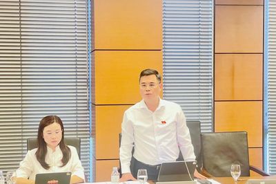 Nếu quy định cứng nhắc trong luật sẽ không tạo sự chủ động cho Ngân hàng Nhà nước trong điều hành