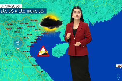 Dự báo thời tiết tối | 07/08/2026