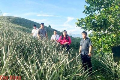 Công tác dân vận của hệ thống chính trị: Từ những việc làm vì dân