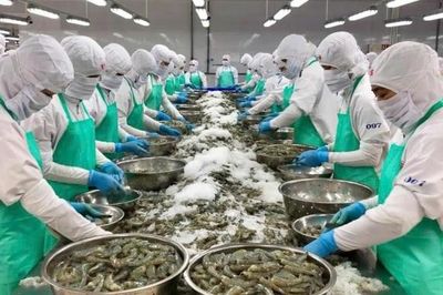 Kiểm soát dư lượng kháng sinh: Chìa khóa nâng cao giá trị thủy sản Việt Nam