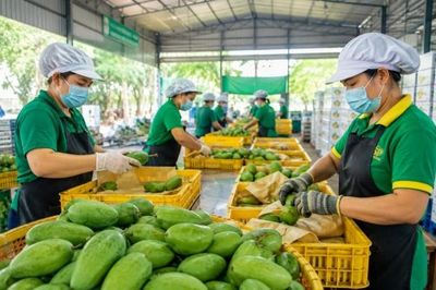 TP.HCM siết tiến độ cấp mã số vùng trồng, cơ sở đóng gói