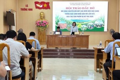 Quảng Trị: Hội thảo đầu bờ mô hình chuyển đổi đất lúa kém hiệu quả sang trồng ngô sinh khối