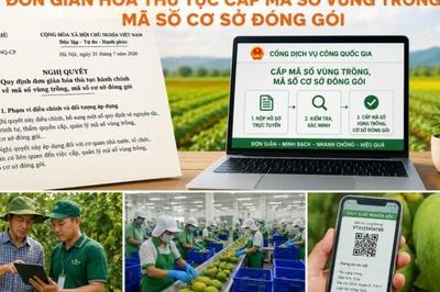 Đắk Lắk đơn giản hóa cho các thủ tục trong cấp mã số vùng trồng, cơ sở đóng gói nông sản