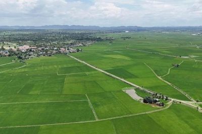 Nông nghiệp trải nghiệm - hướng đi mới thúc đẩy kinh tế nông thôn