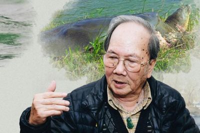 Những công trình nghiên cứu làm nên tên tuổi 'nhà rùa học' Hà Đình Đức