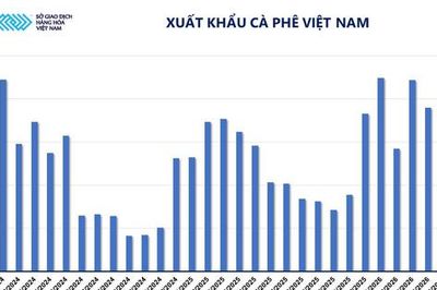 Năng lượng dẫn dắt thị trường, MXV-Index tiếp đà hồi phục