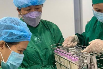 Nhiều bà mẹ hiến sữa trao cơ hội sống cho trẻ sinh non