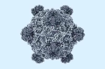 Mỹ tạo 16 loại virus chưa từng có ngoài tự nhiên bằng AI