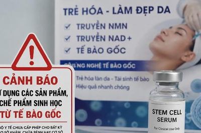 Cảnh giác với quảng cáo làm đẹp bằng tế bào gốc