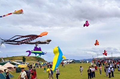 Rực rỡ sắc màu trên thảo nguyên Bùi Hui, hút du khách trải nghiệm