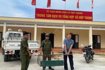 Lào Cai: Xã Hợp Thành ra quân bắt chó thả rông, lập lại trật tự nơi công cộng