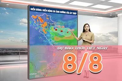 [Video] Dự báo thời tiết ngày 8/8/2026: Nắng trở lại tại Bắc Bộ, Trung Bộ duy trì mưa dông