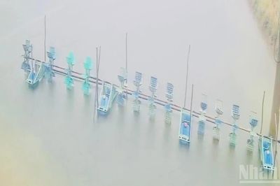 Đại diện Công ty Điện lực Cà Mau phản hồi bài báo 'Người dân bức xúc việc tôm nuôi chết do thi công đường dây cao thế'