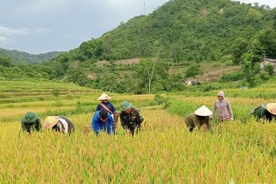 Đoàn Kinh tế - Quốc phòng 5 (Quân khu 4): Bám bản, bám dân xây thế vững biên cương