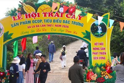 Đưa sầu riêng, bơ, mắc ca La Dạ đến gần người tiêu dùng