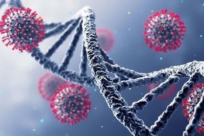 Các nhà khoa học tạo ra virus bằng AI