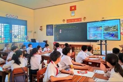 An Giang giảm hơn 52% đầu mối trường công lập sau sắp xếp