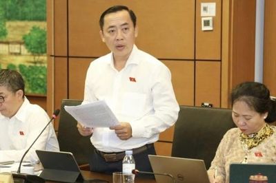 ĐBQH Đào Chí Nghĩa: Tiếp tục hoàn thiện các quy định về chuyển tiếp, bảo đảm tính liên tục của các dự án dầu khí