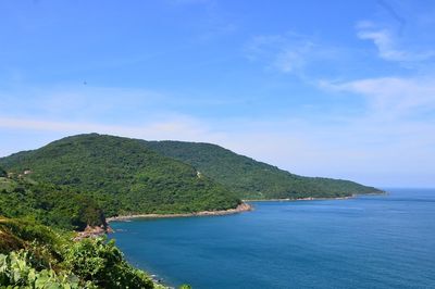 Đi chụp ảnh ở bán đảo Sơn Trà, 3 cô gái bị sóng cuốn mất tích