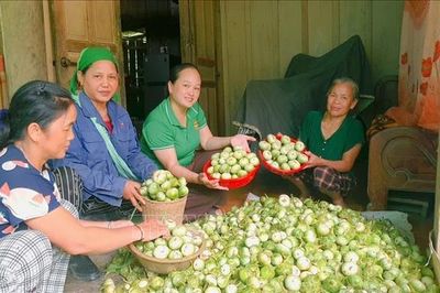 OCOP đã có thương hiệu, vì sao nông sản vẫn lo đầu ra?