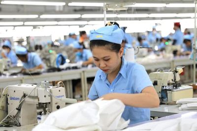 Tuyên Quang: Doanh nghiệp tăng, khu vực cá thể vẫn chiếm chủ đạo