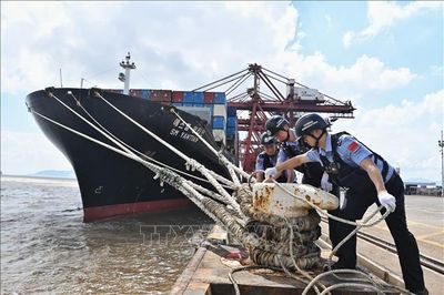 Trung Quốc nâng mức ứng phó khẩn cấp với bão Dolphin