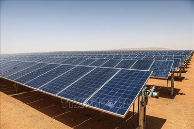 EU tăng tốc phát triển pin lưu trữ để giảm lãng phí điện gió và điện Mặt Trời