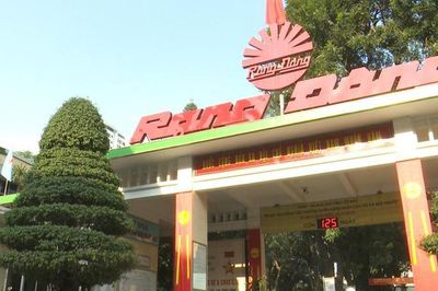 Lãi tăng mạnh trong quý II/2026, Rạng Đông sắp chi gần 59 tỷ đồng cổ tức tiền mặt