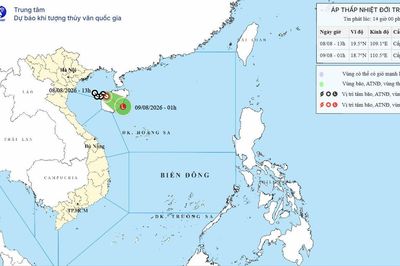 Áp thấp nhiệt đới giật cấp 8, Vịnh Bắc Bộ biển động mạnh
