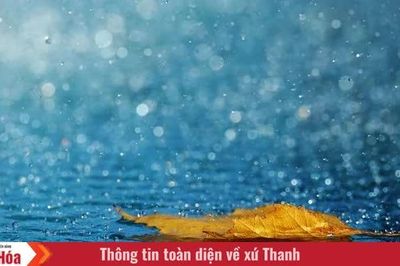 Khẽ khàng nhịp bước mùa thu