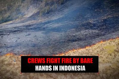 Indonesia đối mặt nguy cơ cháy rừng trong mùa khô khắc nghiệt