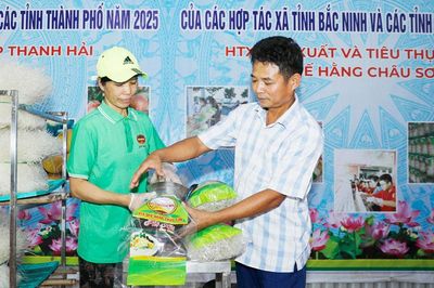 Khởi sắc làng nghề Châu Sơn