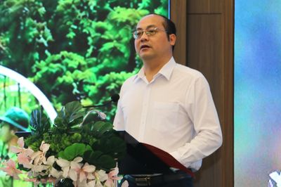 Mở hướng phát triển thị trường tín chỉ các-bon rừng cho Điện Biên