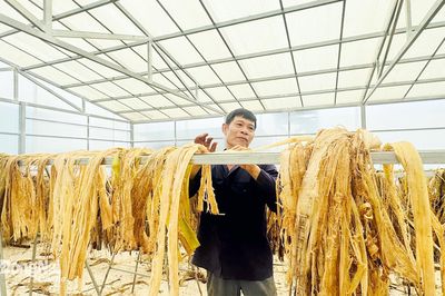 Nâng tầm trái cây Việt