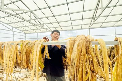 Nâng tầm trái cây Việt