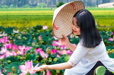 Về miền đá lớn