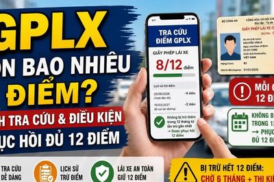 Bị trừ hết 12 điểm GPLX phải làm gì, bao lâu mới được lái xe lại?