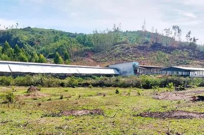 Người dân xóm Hanh Mỹ mong sớm xử lý ô nhiễm từ khu chăn nuôi