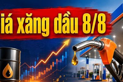 Giá xăng dầu hôm nay 8/8/2026: Dầu thế giới quay đầu giảm