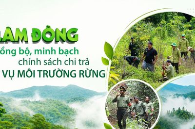 Lâm Đồng đồng bộ, minh bạch chính sách chi trả dịch vụ môi trường rừng